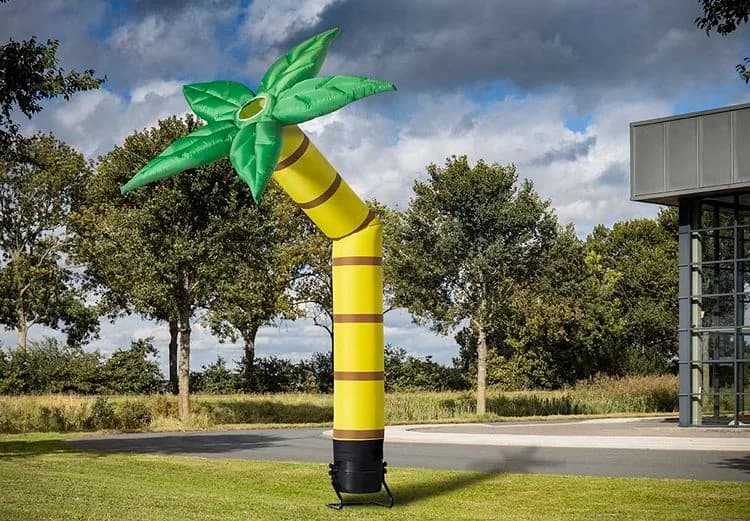 Skydancer Palm Tree