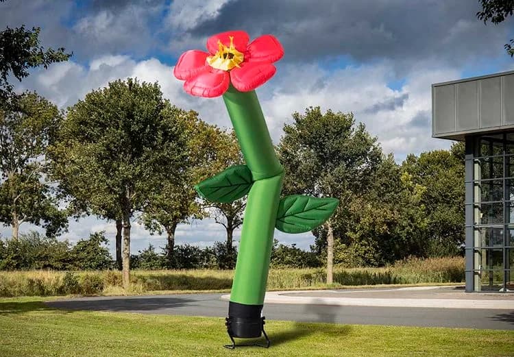 Skydancer Flower 2