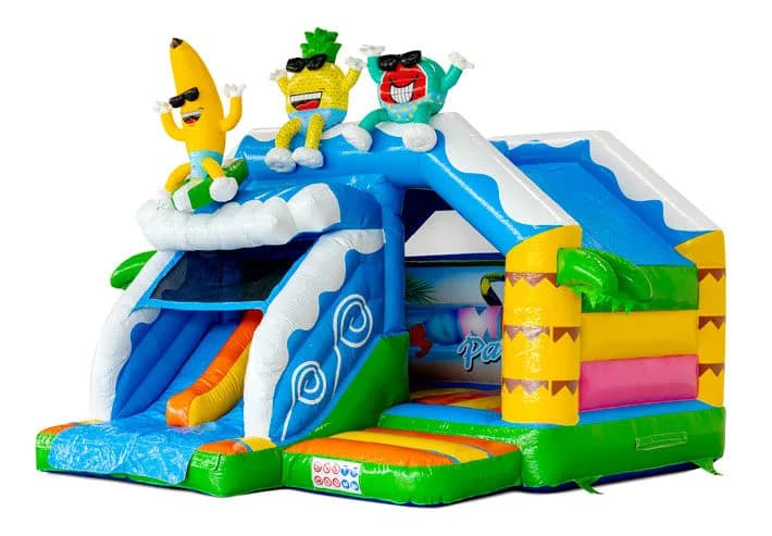 Slide Combo Doubleslide Summer Party Bouncy Castle