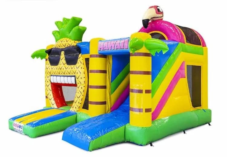 Multi Box Hawaii Bouncy Castle