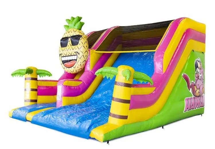 Fun Slide Hawaii