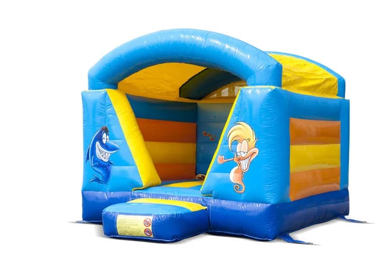 Mini Seaworld With Roof Bouncy Castle