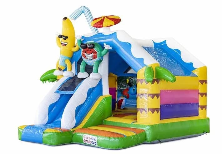 Slide Combo Summer Party Bouncy Castle