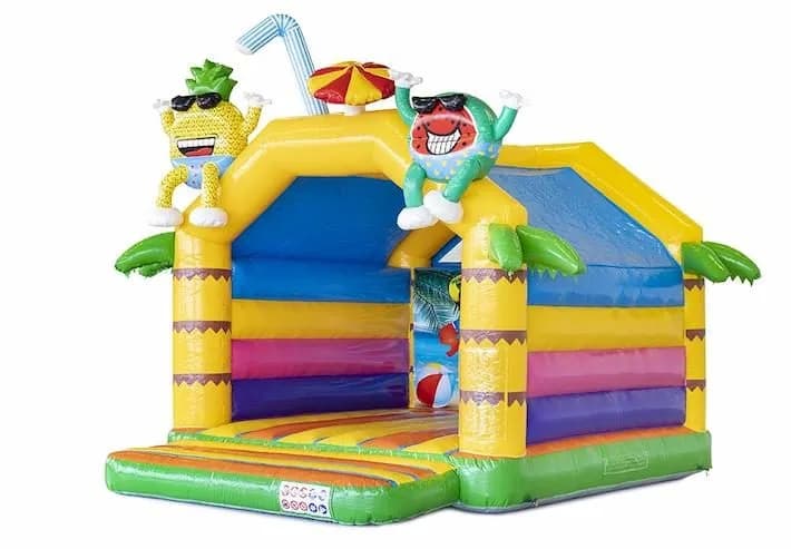 Standard Bouncy Castle Summer Party