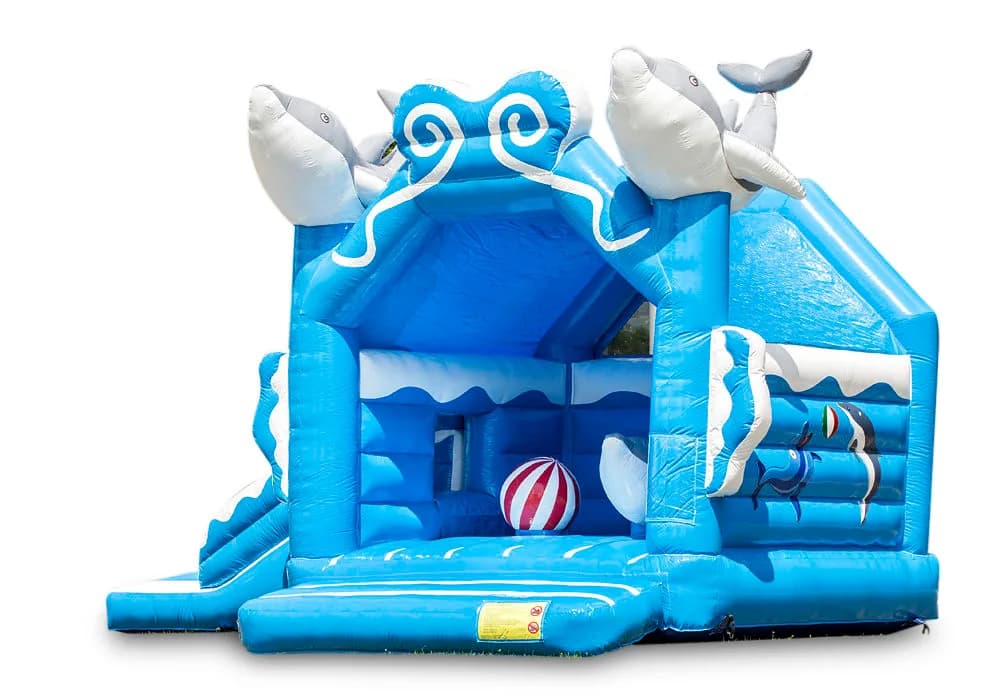 Multifun Dolphin Bouncy Castle