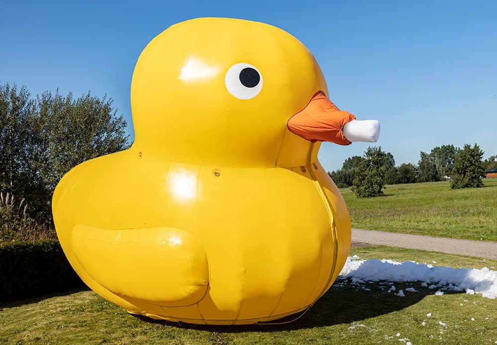 Bubble Duck